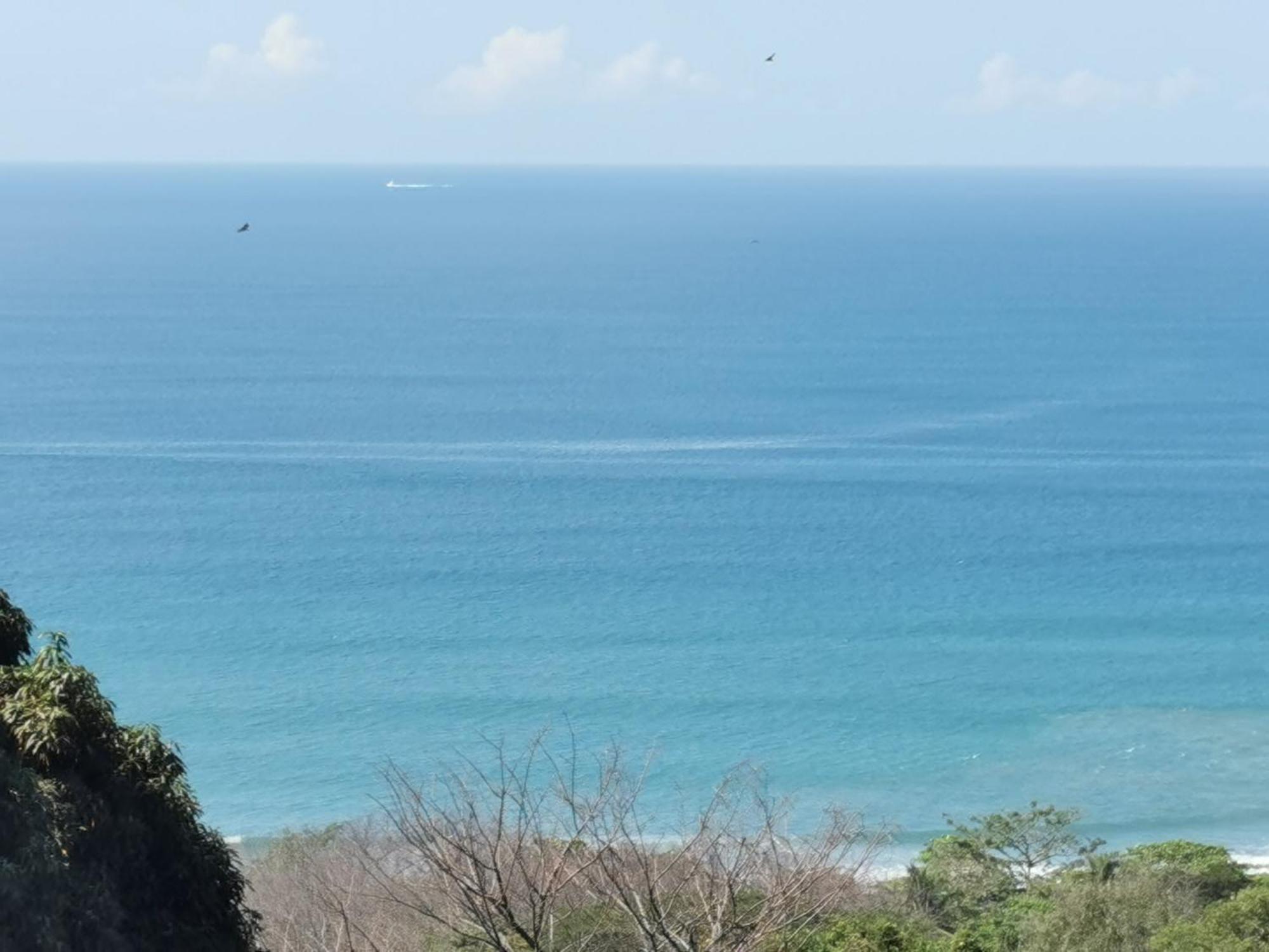 Casa Luna - Private Suites With Ocean View, Pool, Ac, Wifi Playa Santa Teresa  ภายนอก รูปภาพ